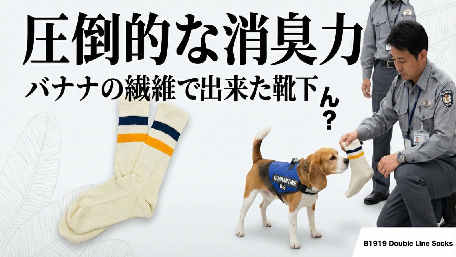 もう靴を脱ぐのが怖くない。ワンちゃんも首を傾げる消臭力の「靴下」