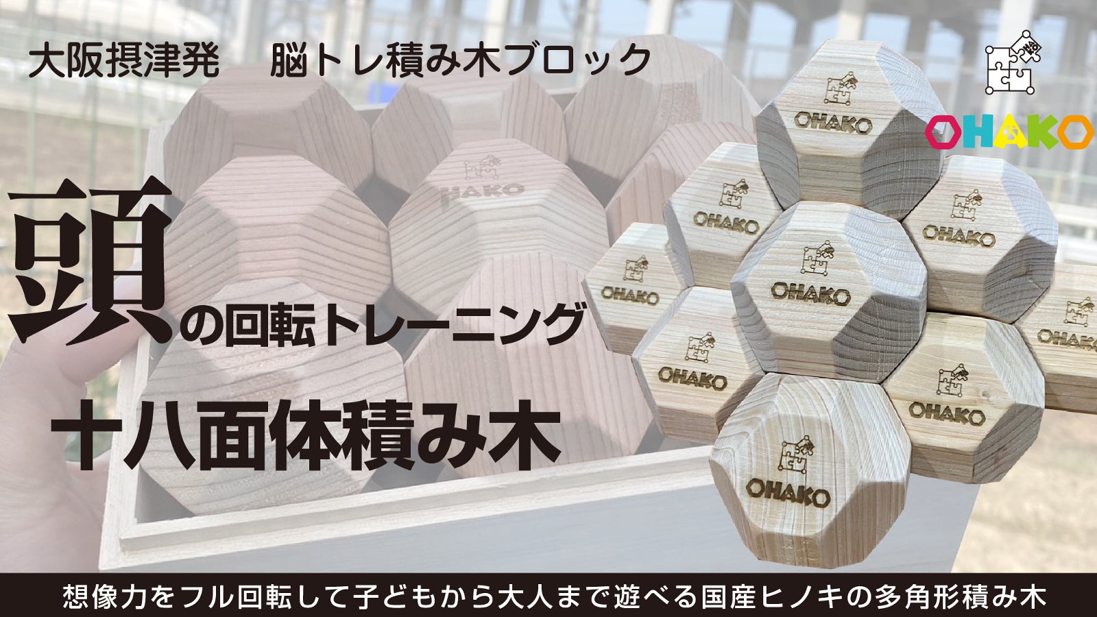 【日本製おもちゃ】子どもたちの脳トレブロック 18面体積み木 (意匠登録出願中)