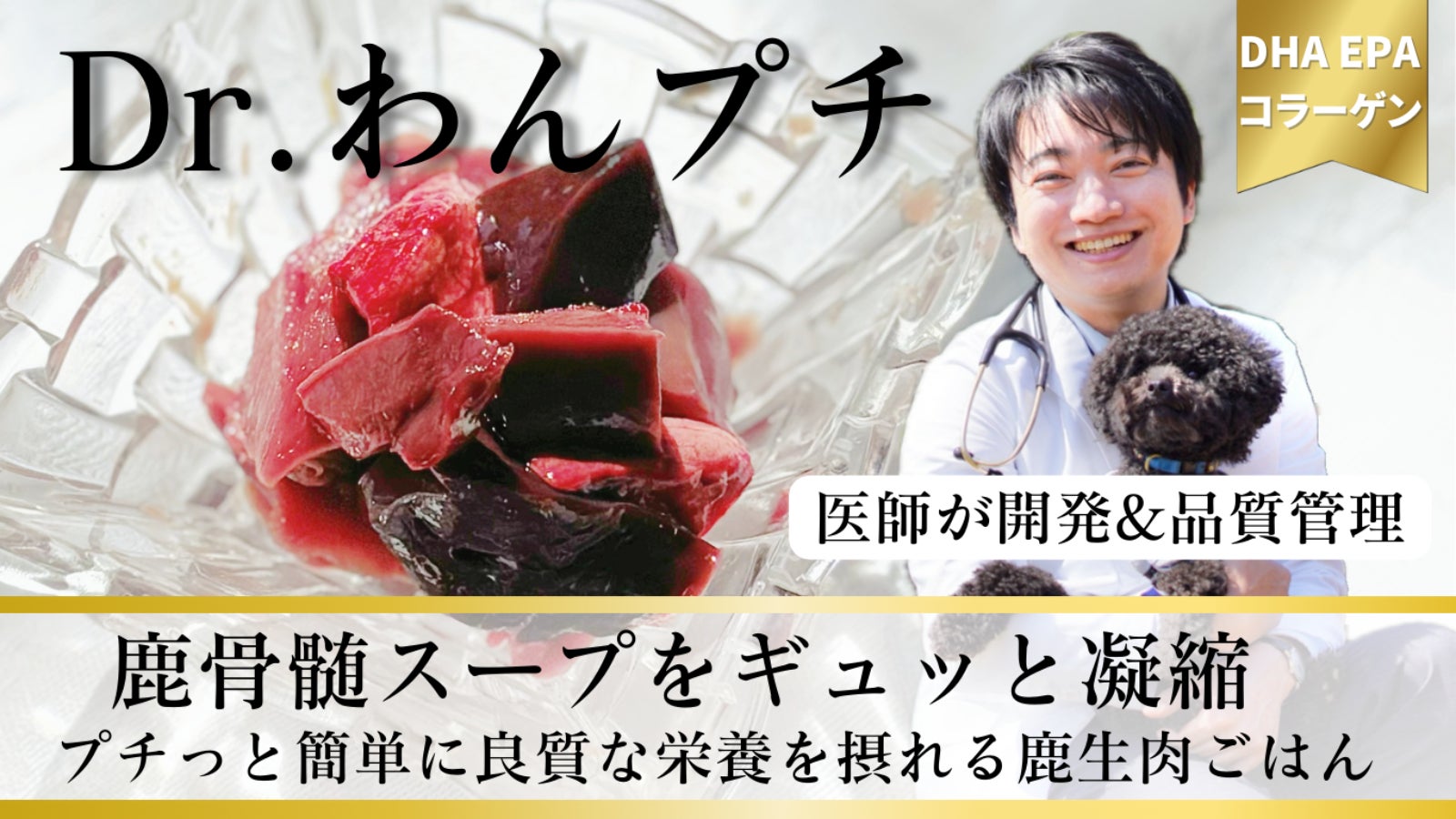 医師とフレンチシェフが開発!鹿の骨髄エキスを凝縮した生肉フードDr.わんプチ!!