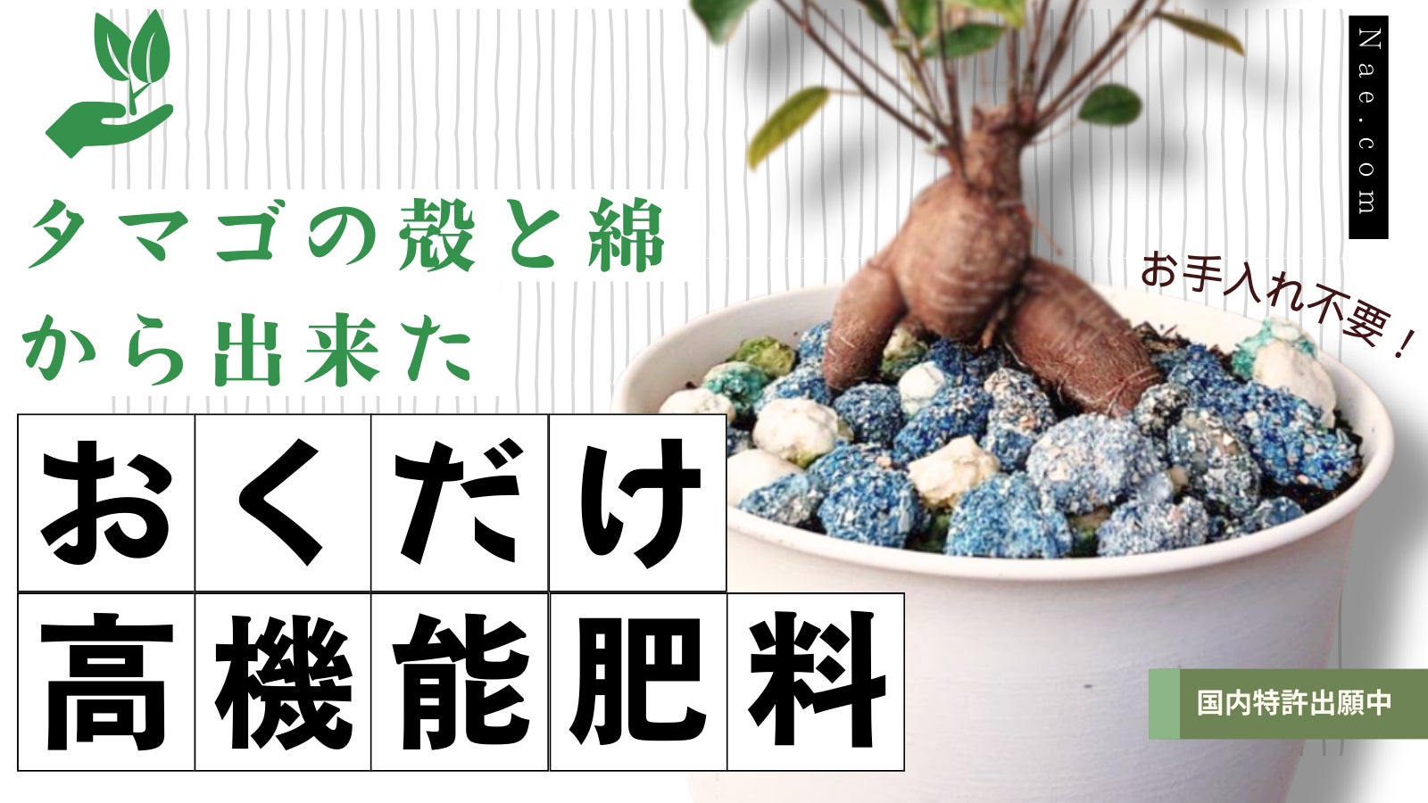 【Nae.com_cocoon】天然素材で出来たコクーン型カラフル植物生育剤