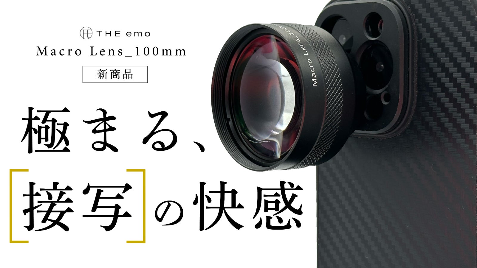 肉眼を超える100mmマクロレンズの世界へ。いつものスマホが、息をのむ接写一眼に