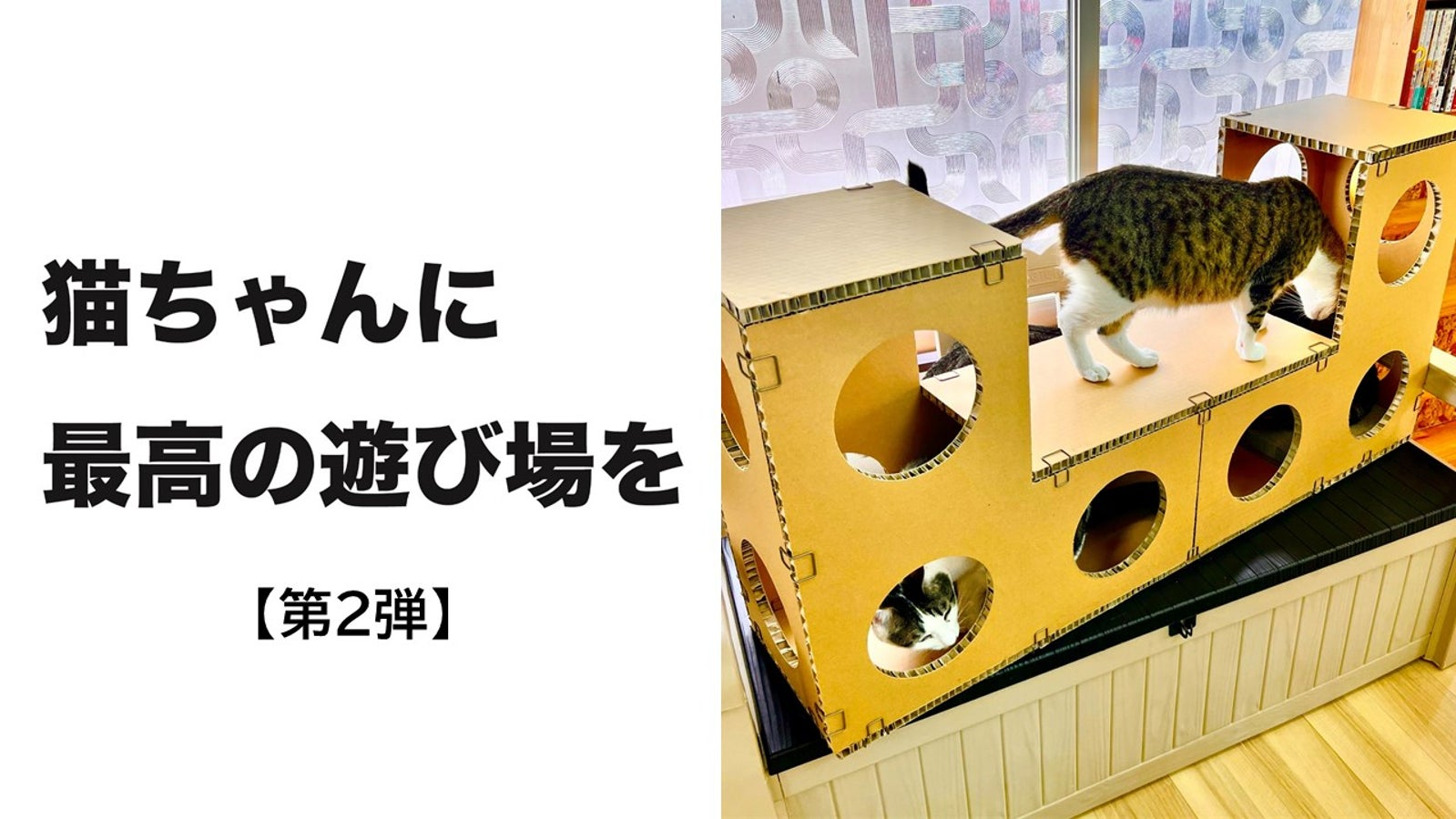 専用ジョイントでお手軽DIY!組み合わせ自在の猫の隠れ家【にゃんぐるポケット】