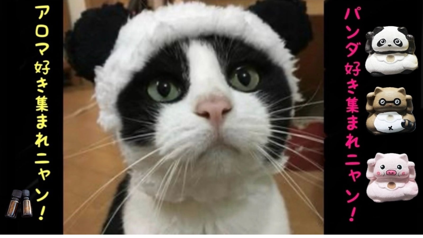 こんなアロマストーン見たことないニャン! 【 ”ZOO”アロマストーン】